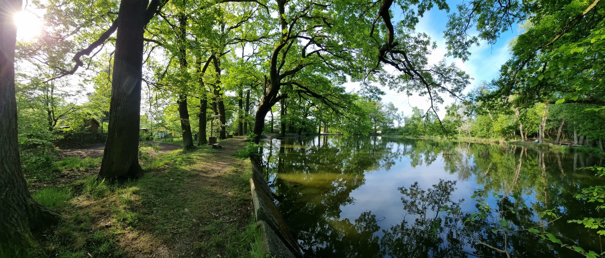 Rybník Pod Skalkou